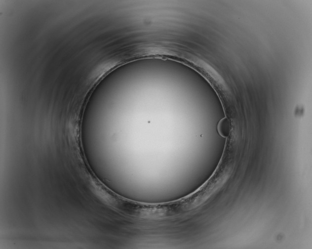 X0000103280793200809051530