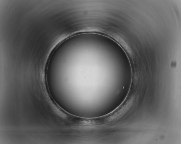 X0000103280797200809051529