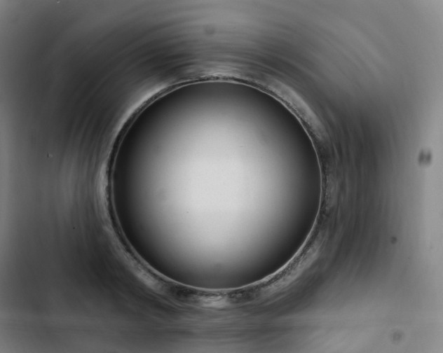 X0000103280798200809051529