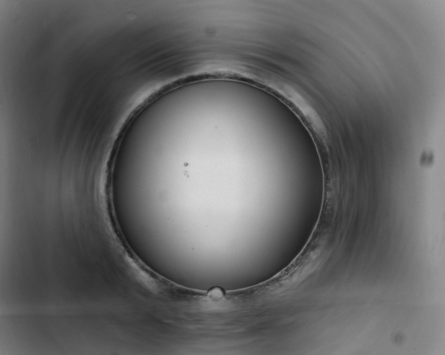 X0000103280799200809051529