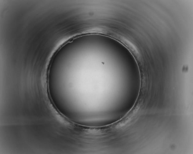 X0000103280800200809051529