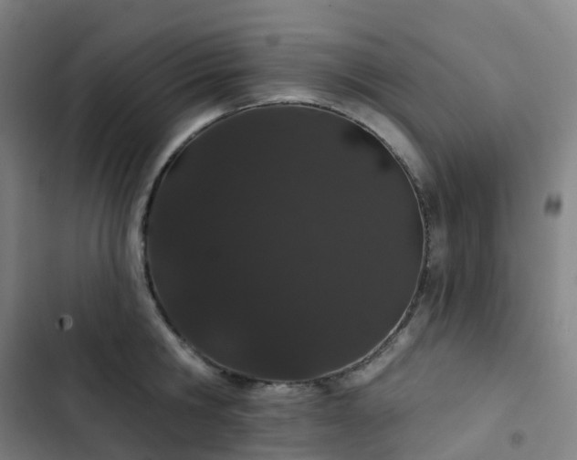 X0000103280806200809051529