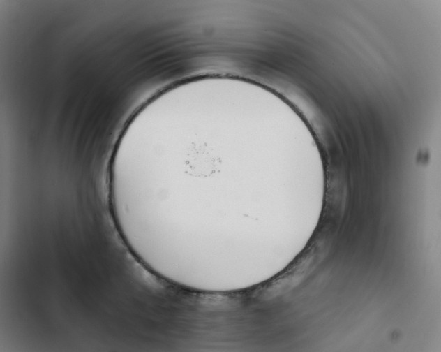 X0000103280807200809051529