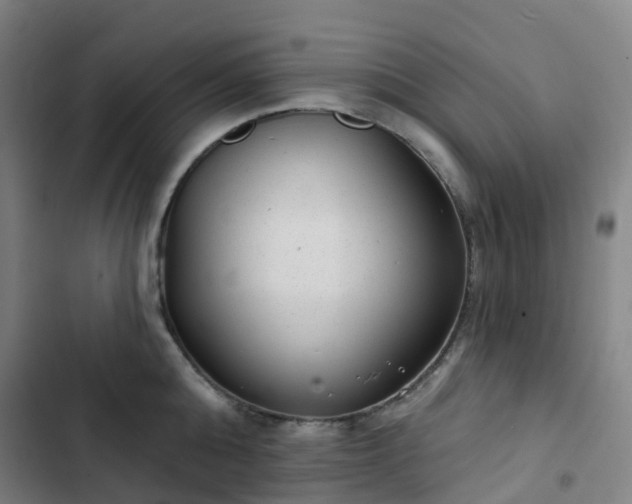 X0000103280808200809051529