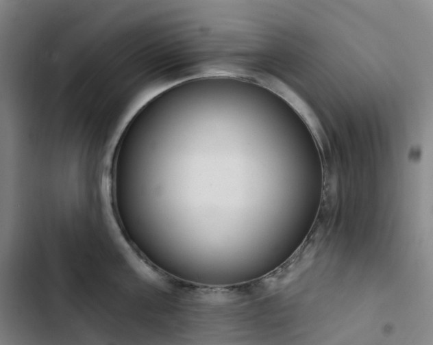 X0000103280811200809051529