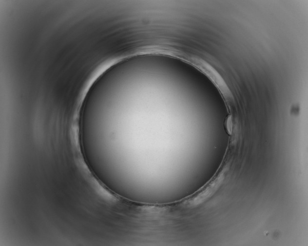 X0000103280812200809051529