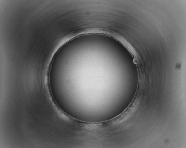 X0000103280813200809051529