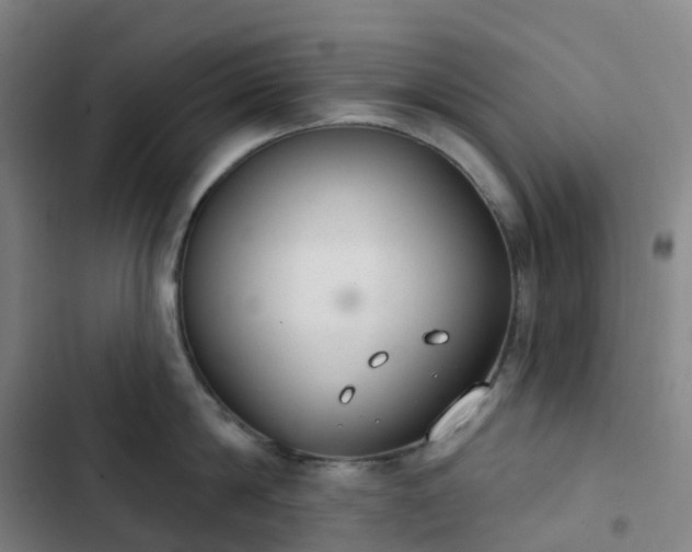 X0000103280814200809051529