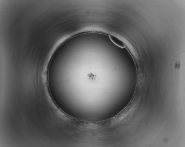 X0000103280815200809051529