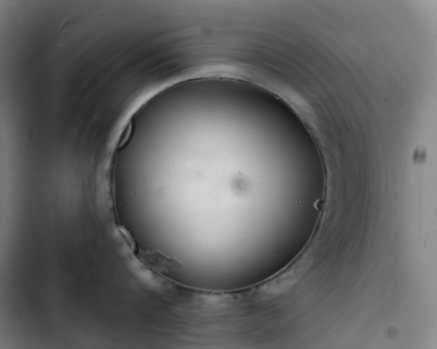 X0000103280816200809051529