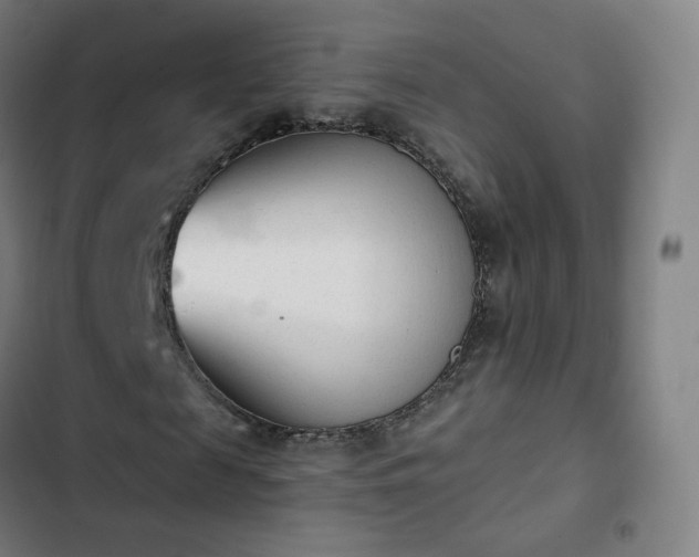 X0000103280817200809051529