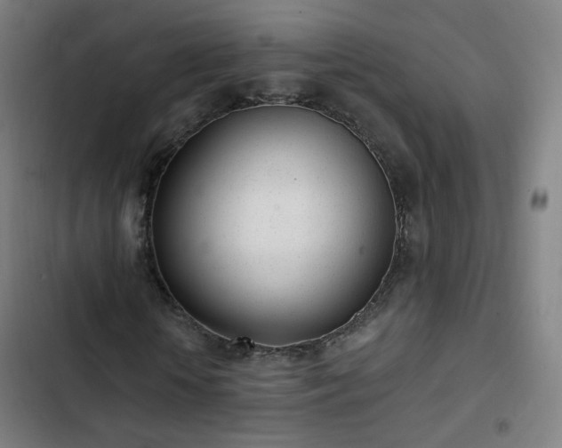 X0000103280818200809051529