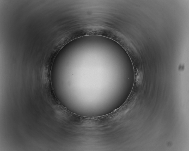 X0000103280819200809051529