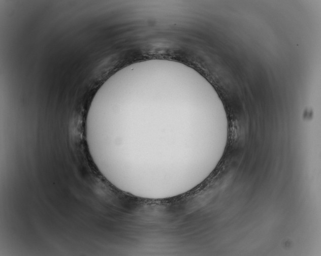 X0000103280820200809051529