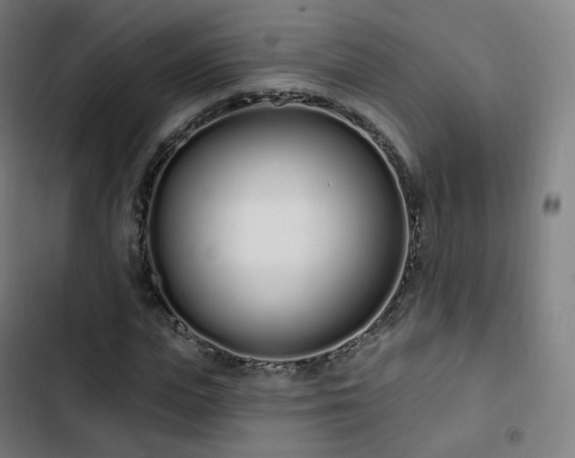 X0000103280823200809051529