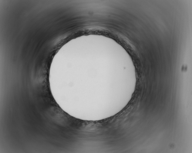 X0000103280824200809051529