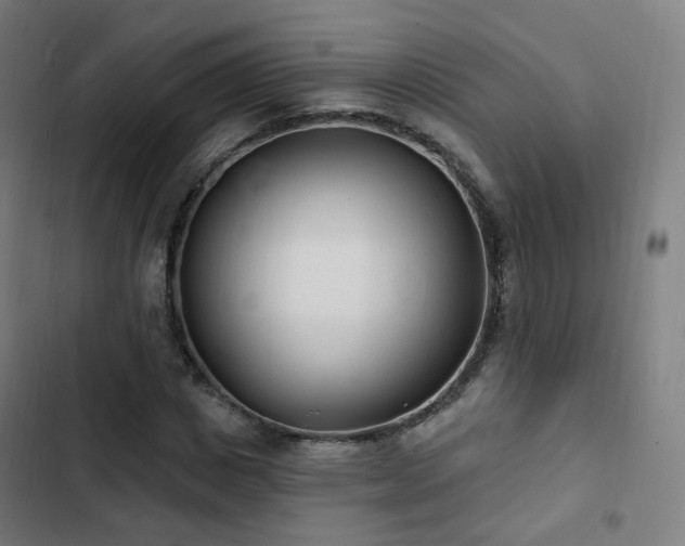 X0000103280825200809051529