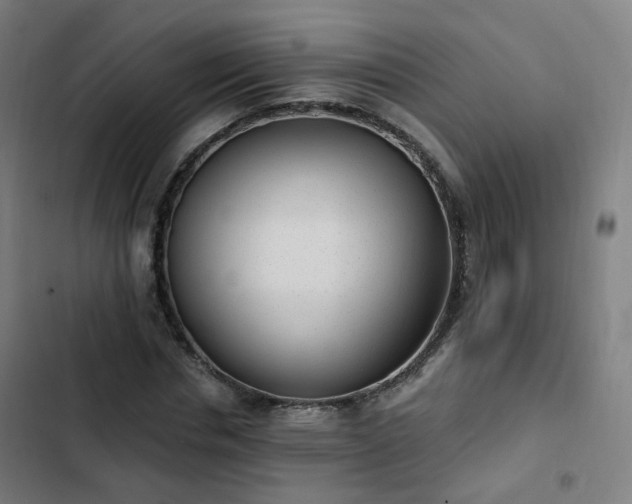 X0000103280826200809051529