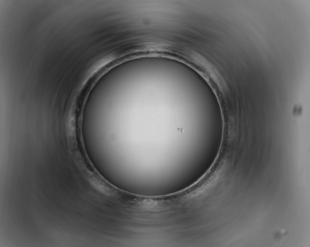 X0000103280827200809051529