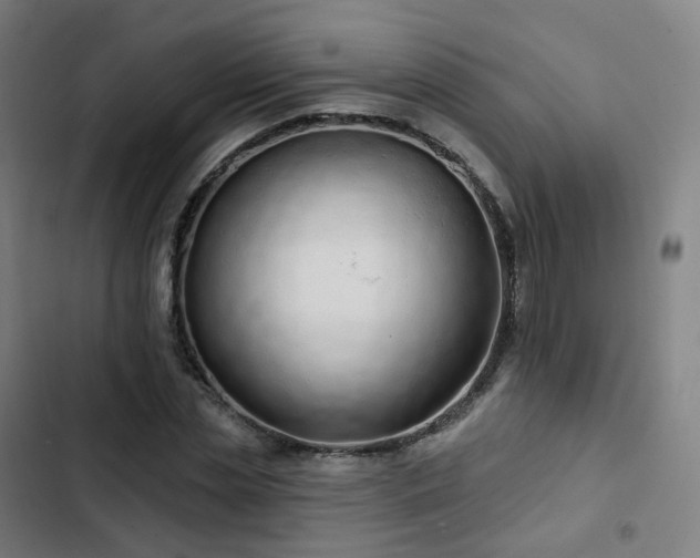 X0000103280829200809051529