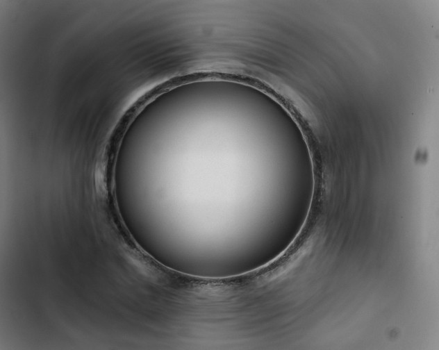 X0000103280830200809051529