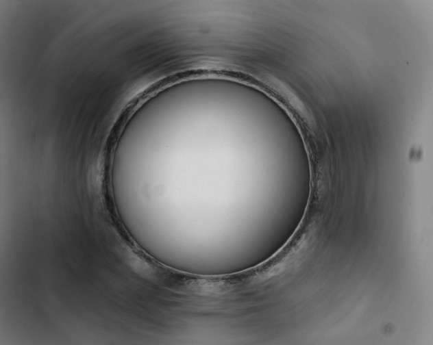 X0000103280831200809051529