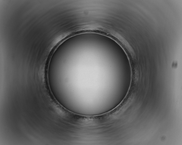 X0000103280834200809051529