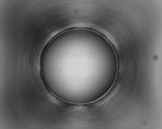 X0000103280837200809051529