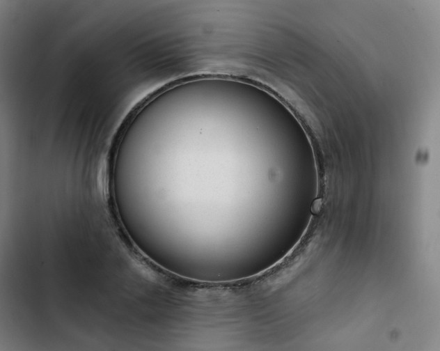 X0000103280838200809051529