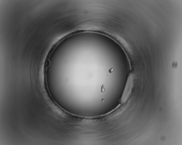 X0000103280840200809051529