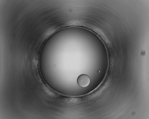 X0000103280841200809051529