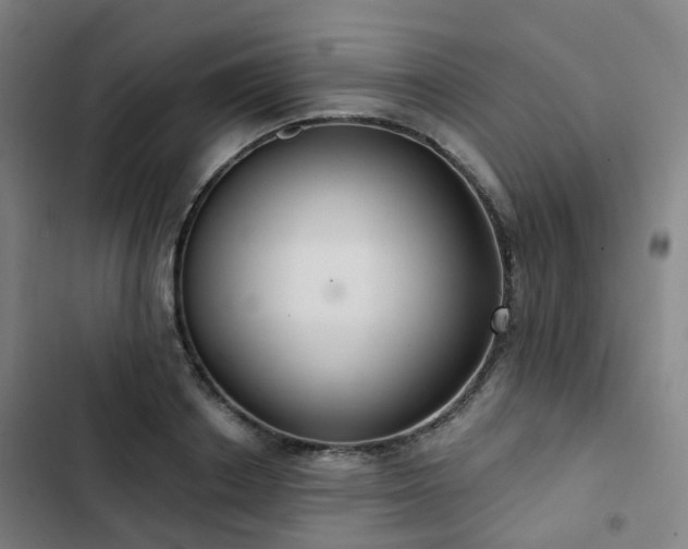 X0000103280842200809051529