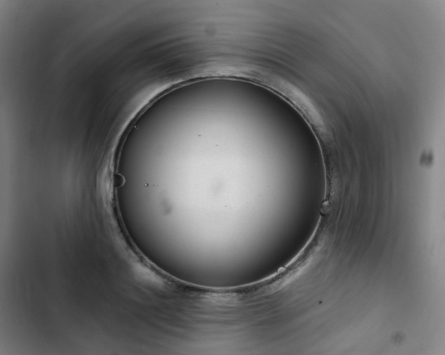 X0000103280844200809051529