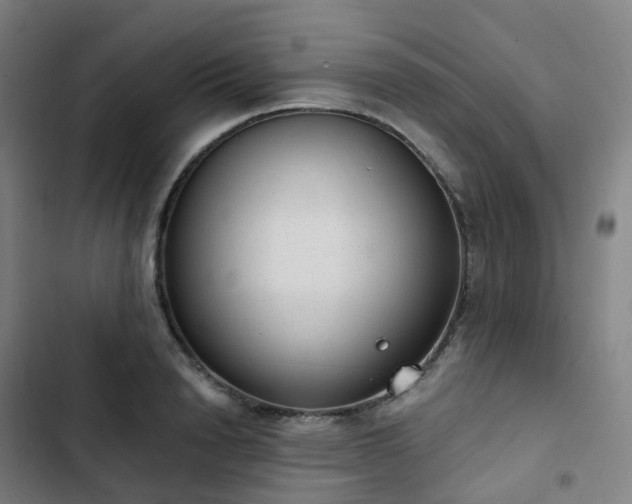 X0000103280846200809051529