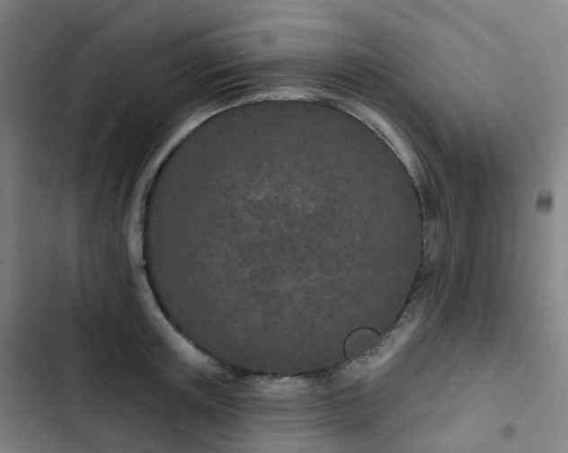 X0000103280851200809051529