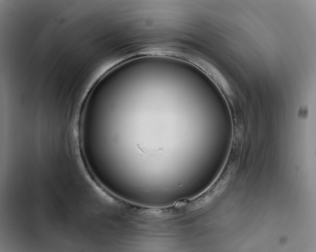 X0000103280855200809051529