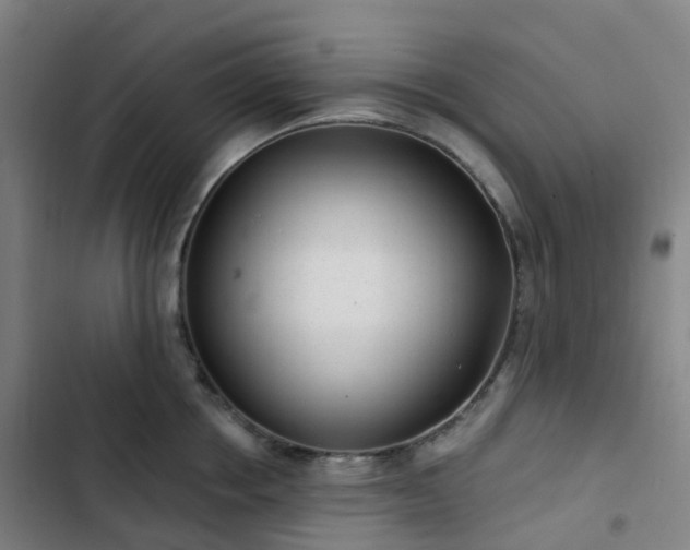 X0000103280858200809051529