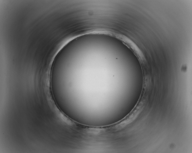 X0000103280860200809051529