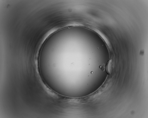 X0000103280861200809051529