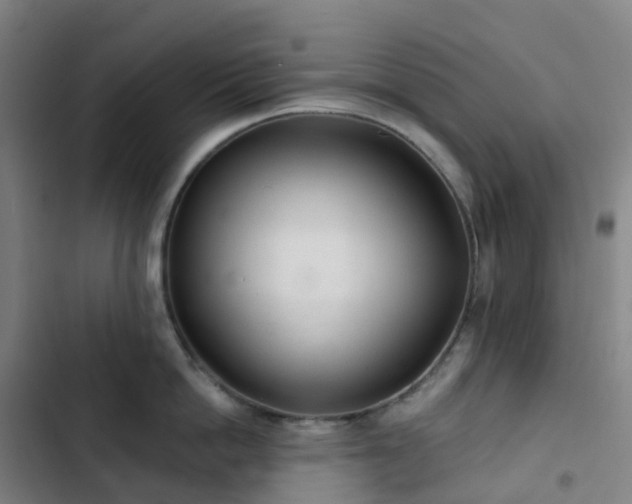 X0000103280862200809051529