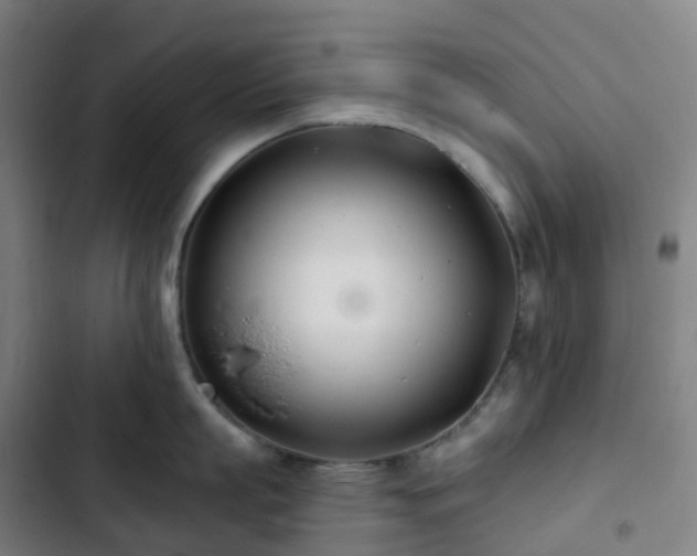 X0000103280863200809051529