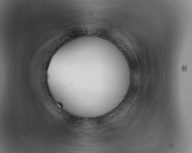 X0000103280865200809051529