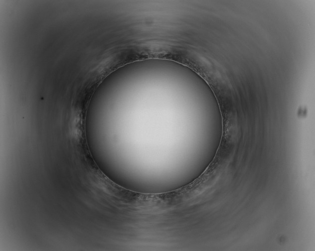 X0000103280866200809051528