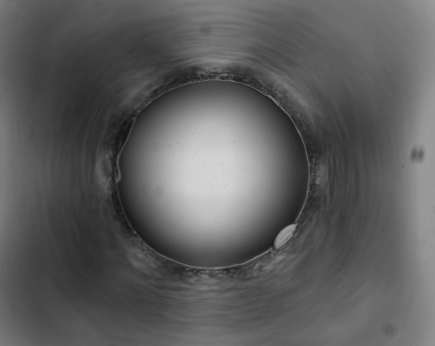 X0000103280868200809051528