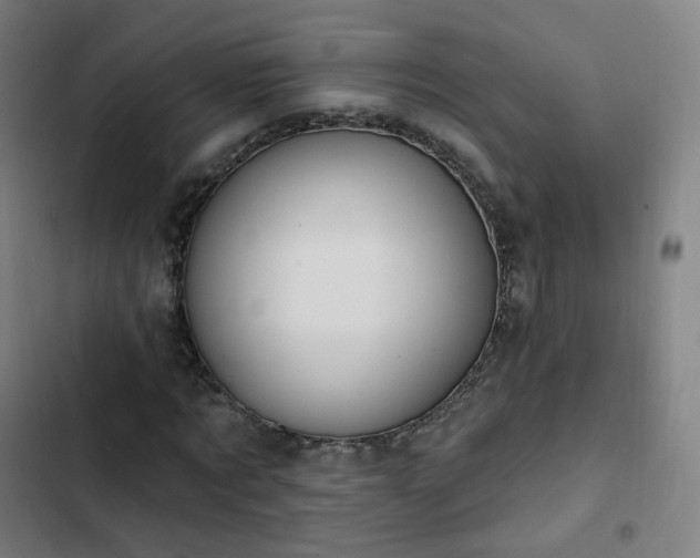 X0000103280869200809051528