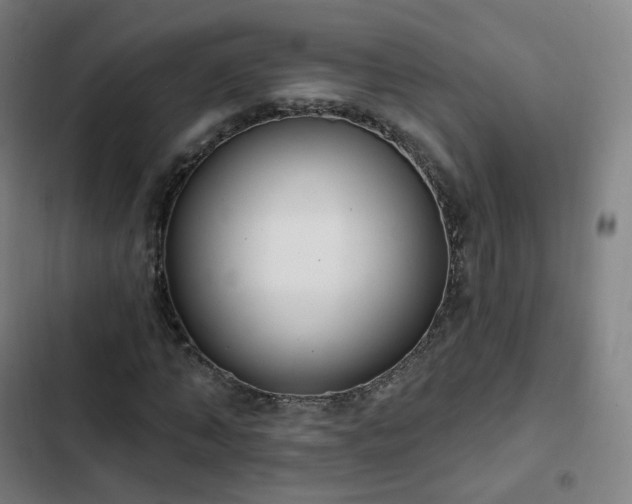 X0000103280870200809051528