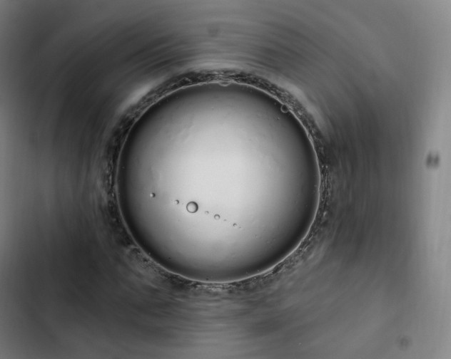 X0000103280871200809051528