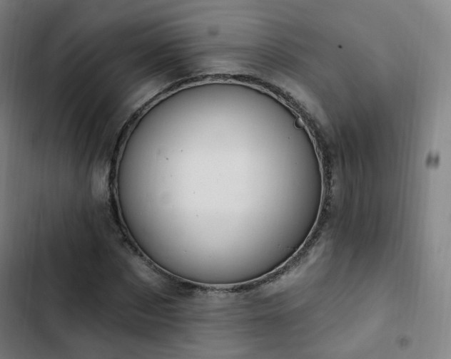 X0000103280873200809051528