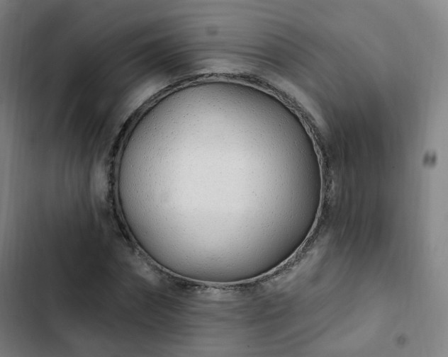 X0000103280874200809051528