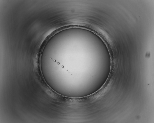 X0000103280875200809051528